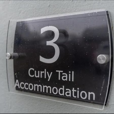 Curly Tail Accommodation Bishop's Castle Buitenkant foto
