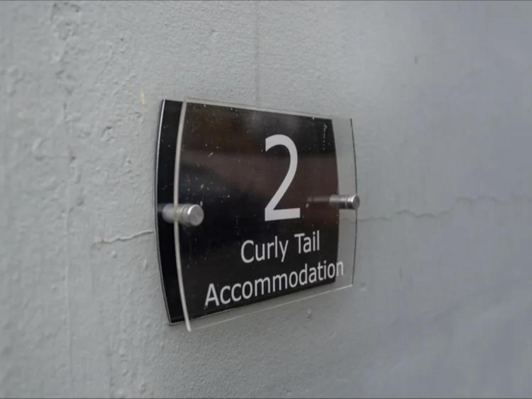 Curly Tail Accommodation Bishop's Castle Buitenkant foto
